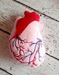 In The Hoop Anatomical Heart Stuffed Stuffie Embroidery Design